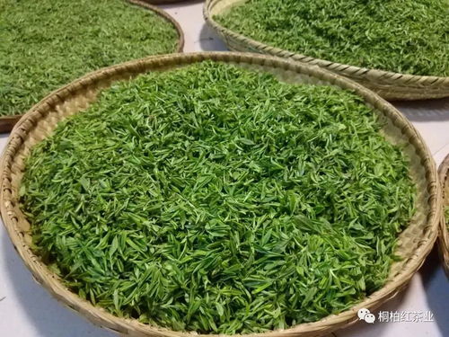 桐柏红 千万种茶香里,不知您钟情哪杯茶